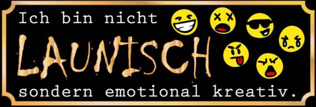 vianmo Holzschild 10x27 cm Ich bin nicht launisch Dekoration