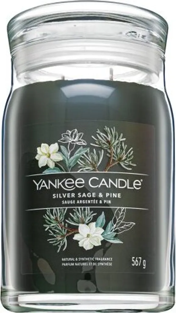 Yankee Candle Salvia d'argento e pino 567 g
