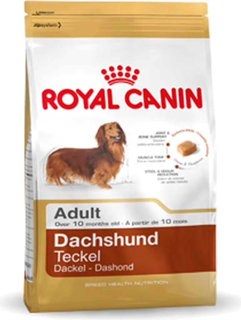 Royal Canin Dachshund Adult 7,5kg : Croquettes Expert Chien Teckel