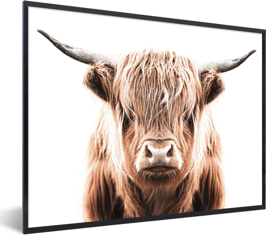 MuchoWow Gerahmtes Poster Schottischer Highlander - Tiere - Stier 40x30 cm - Poster mit Schwarzem Bilderrahmen Wandposter Rahmen Foto Bilder - Ku...