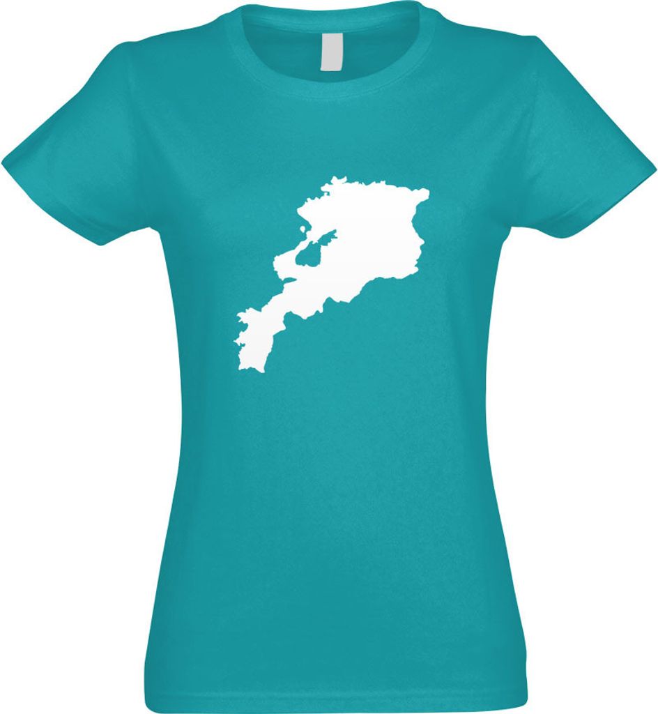 Kiwistar - T-Shirt tailliert - Damen - türkis - Armenien Umriss Kontur - mit Motiv Bedruckt - Funshirt Design - Sport - Freizeit - Damen - M