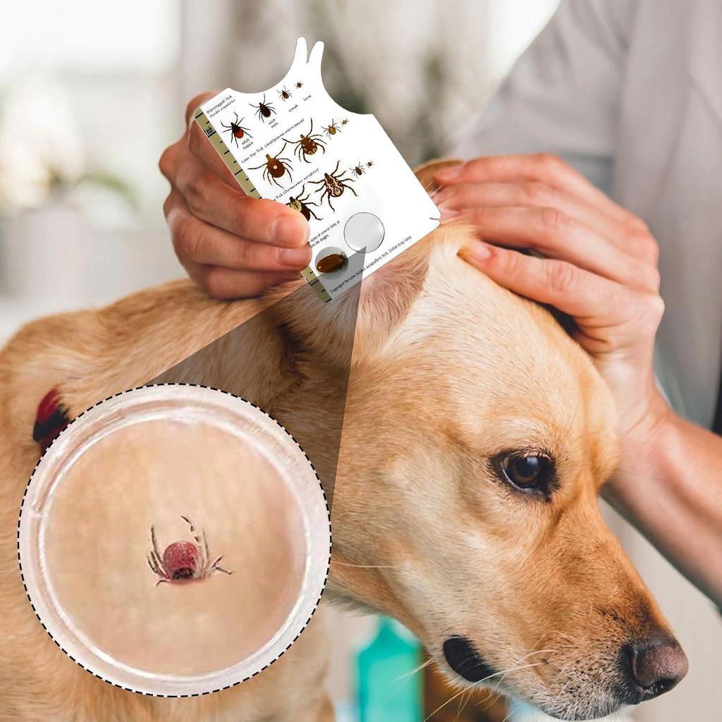 Zeckenkarte mit Vergrößerungsglas - 2 Stück - Zeckenkarte für Hunde und Katzen - Entfernt schnell und sanft Zecken von Haustieren oder Menschen