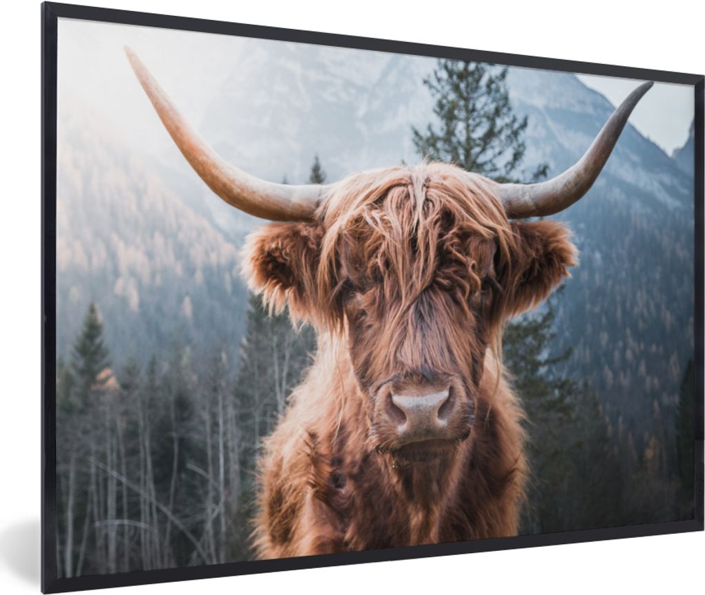 MuchoWow Gerahmtes Poster Schottischer Hochländer - Kuh - Tiere - Berg - Natur 30x20 cm - Poster mit Schwarzem Bilderrahmen Wandposter Rahmen Fo...