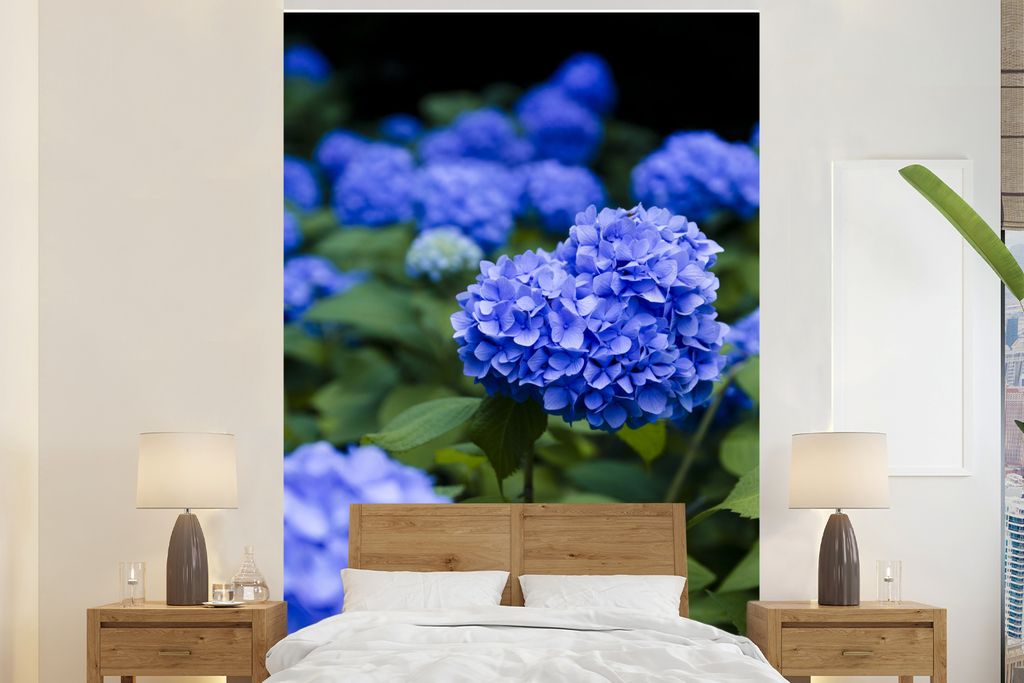 MuchoWow Fototapete für Wohnzimmer oder Schlafzimmer Wandtapete Vinyl Motivtapete Nahaufnahme blaue Hortensienblüten - 160x240 cm - Vinyltapete