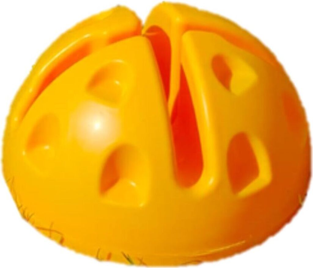 Dome-Basis für Slalomstangen oder Reifen