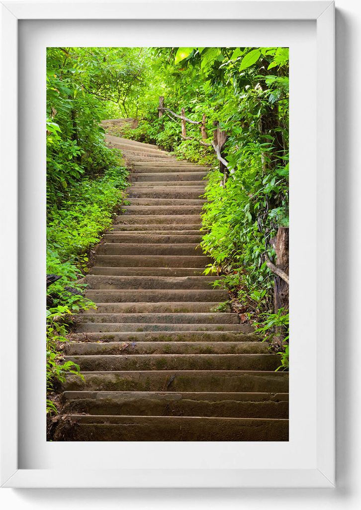 Treppe inmitten des Waldes– Wandbild mit Rahmen – Gerahmtes Bild – Wanddekoration – 40x60 cm – Weiß