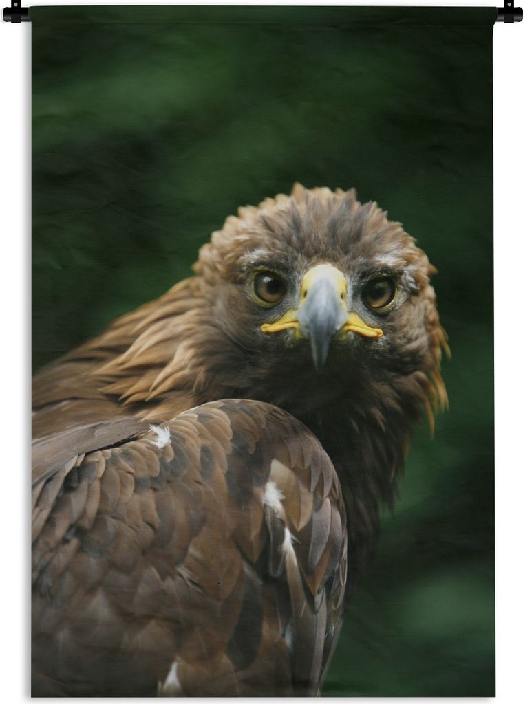 MuchoWow Wandteppich Wandbehang Adler - Braun - Raubvogel 60x90 cm Tapisserie Dekoration Wandtuch - Foto-Teppich - Abwaschbar