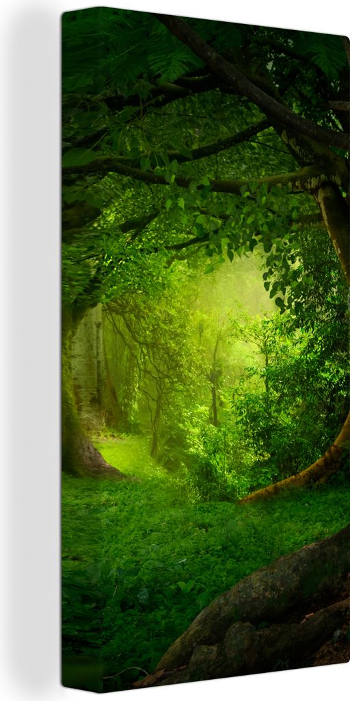 MuchoWow - Leinwandbilder - Bäume - Wald - Grün - Landschaft - Natur, Wandbild, Wanddeko Bilder Wohnzimmer, 20x40 cm