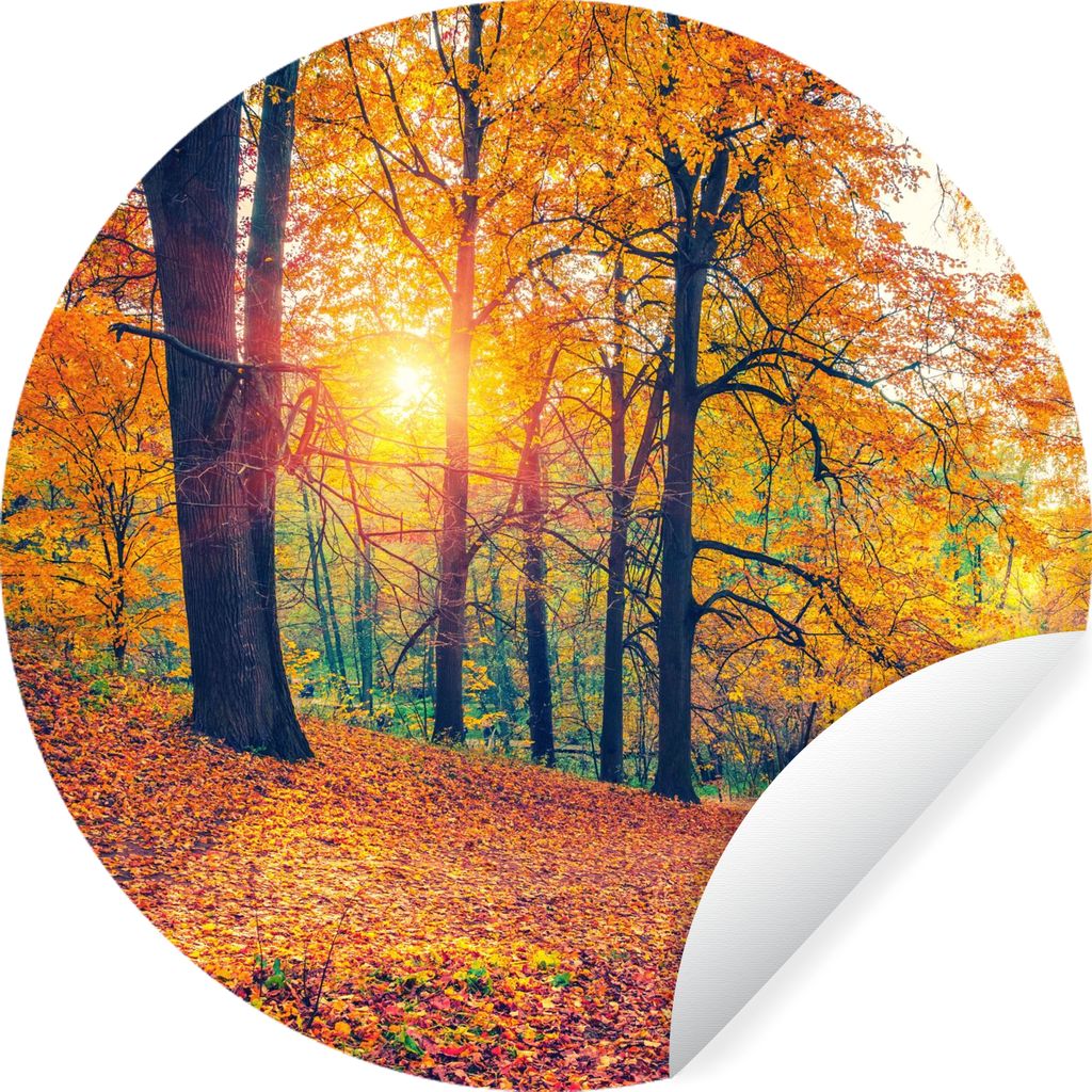 MuchoWow Runde Wandtattoo - Wandsticker Tapete Aufkleber Bäume - Herbst - Wald - Herbstliche Blätter Ø 100 cm Selbstklebend und Repositionierb...