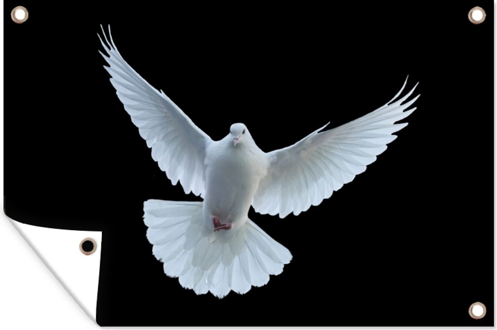 MuchoWow 90x60 cm Outdoor-Poster Gartendeko Sichtschutz Garten Poster für den Garten Taube - Vogel - Schwarz - Weiß - Porträt