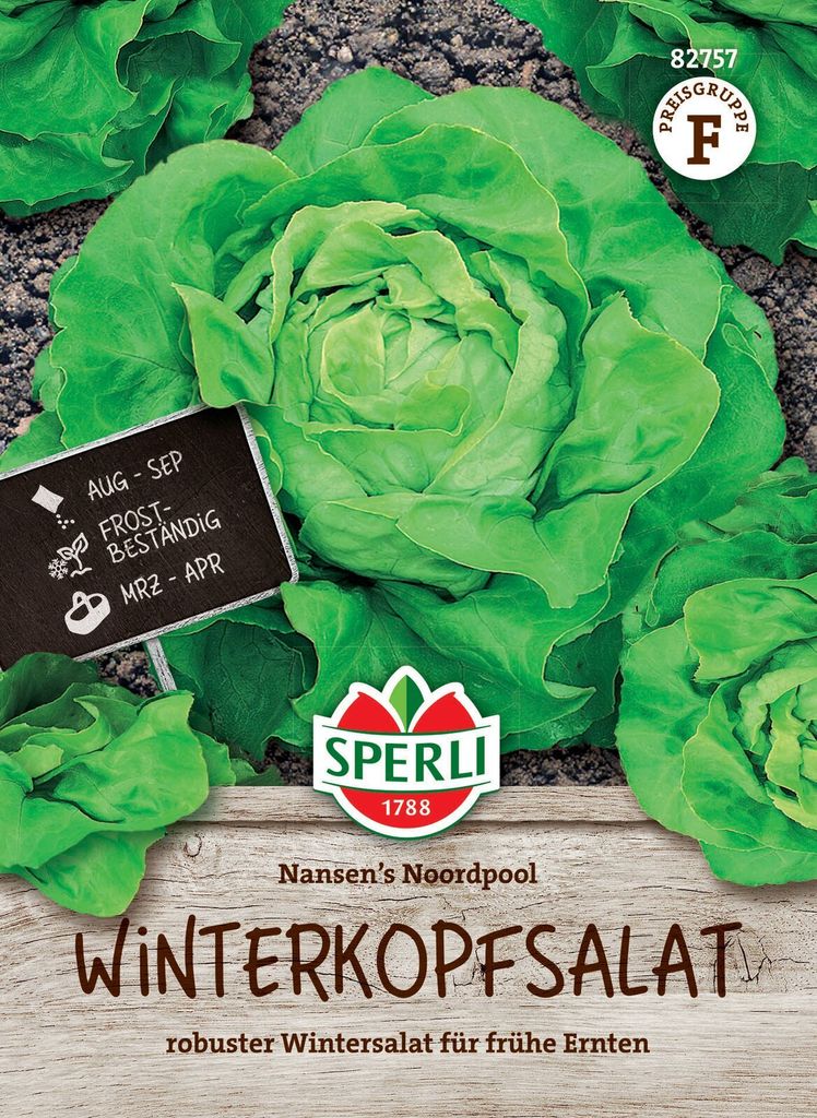 SPERLI Winterkopfsalatsamen Nansen's Noordpool Lactuca Produktbild 