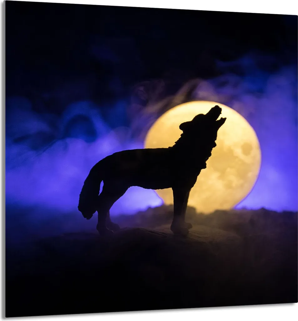 Coprifornelli Vetro 60x65 Wolf: Protezione Paraschizzi Design Lupo