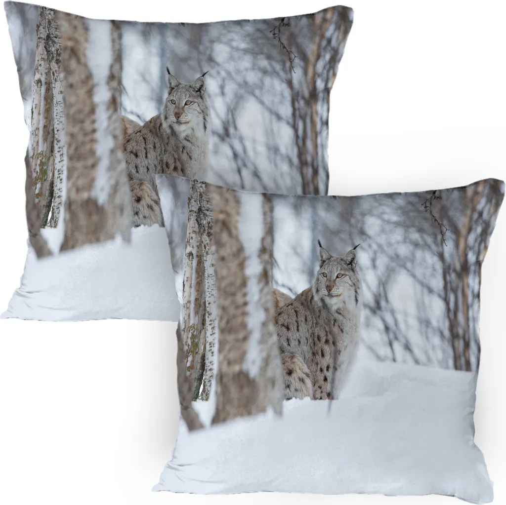 Lot de 2 housses de coussin 80x80 décor Lynx européen forêt de Norvège