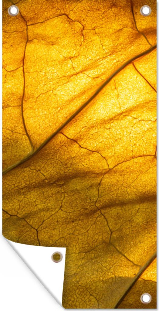 MuchoWow 40x80 cm Outdoor-Poster Gartendeko Sichtschutz Garten Poster für den Garten Blätter - Textur - Gelb