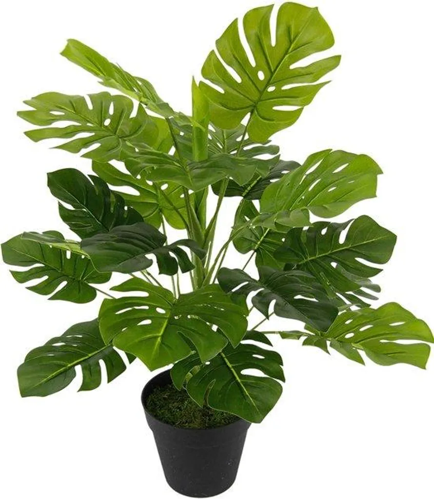 Plante Monstera artificielle en soie réaliste - Feuillage dense 150cm