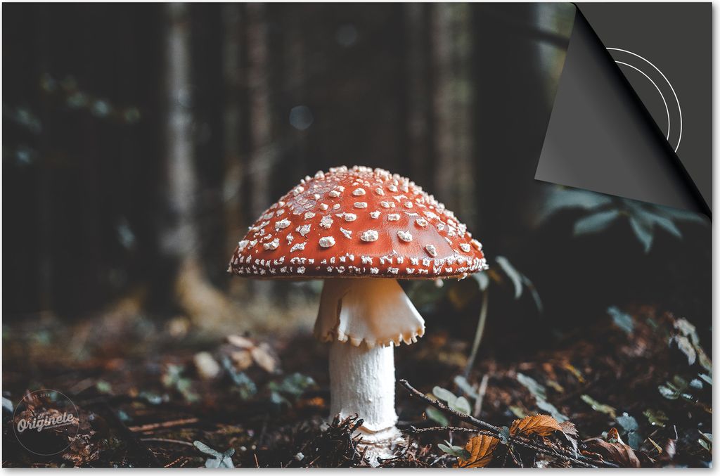 Induktionsschutz 59x52 - abdeckplatte Induktion matt- Dietrix Kochfeldschutz- Base - Herbst - PilzRot mit Weißte stippen
