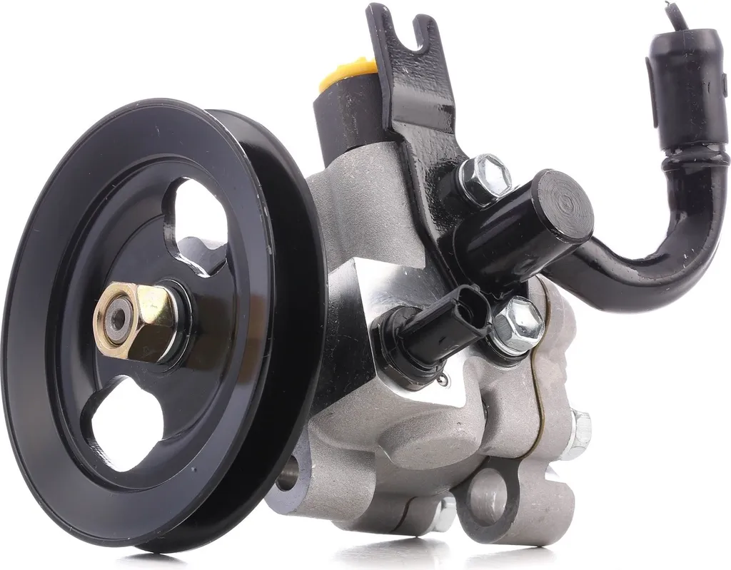 Supprimer le bruit de direction : Pompe assistée pour Rio II 571001G00