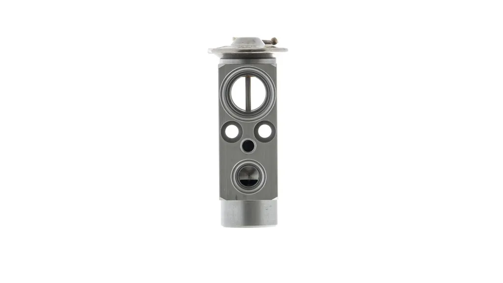 Valve d'Expansion de Climatisation AVE 98 000P pour Circuit AC