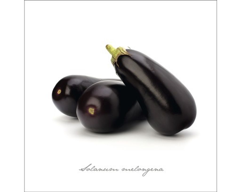 Glasbild Aubergine 30x30 cm