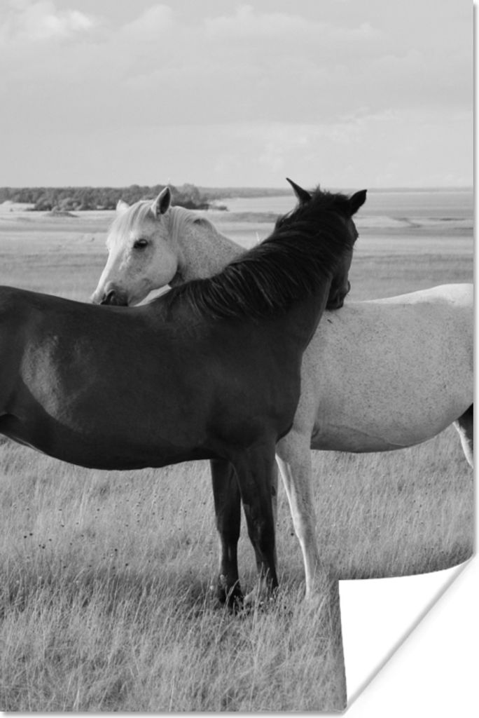 MuchoWow Poster Pferde - Tiere - Porträt - Schwarz-Weiß - Landleben 40x60 cm - Plakate für die Wand - Poster Babyzimmer