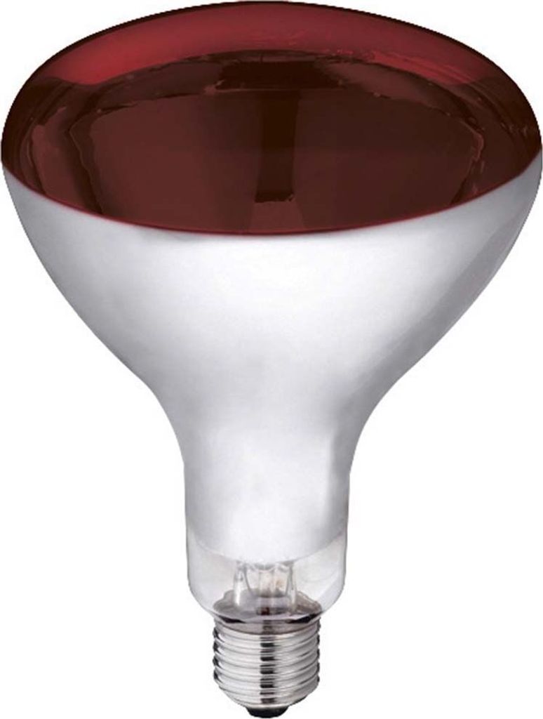 Infrarotlampe 250W Hartglas, rot Produktbild 2