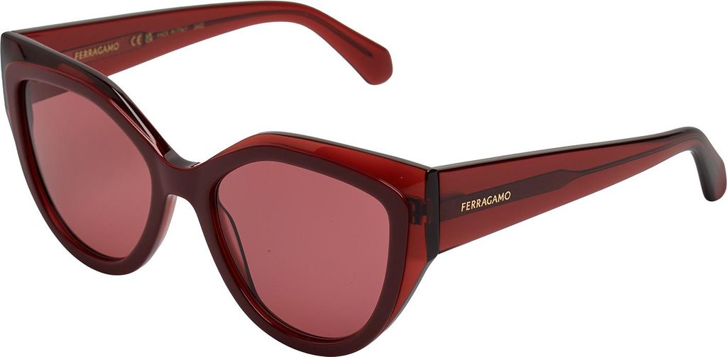 Dámské sluneční brýle Ferragamo SF2004S Transparent Obrázek produktu 