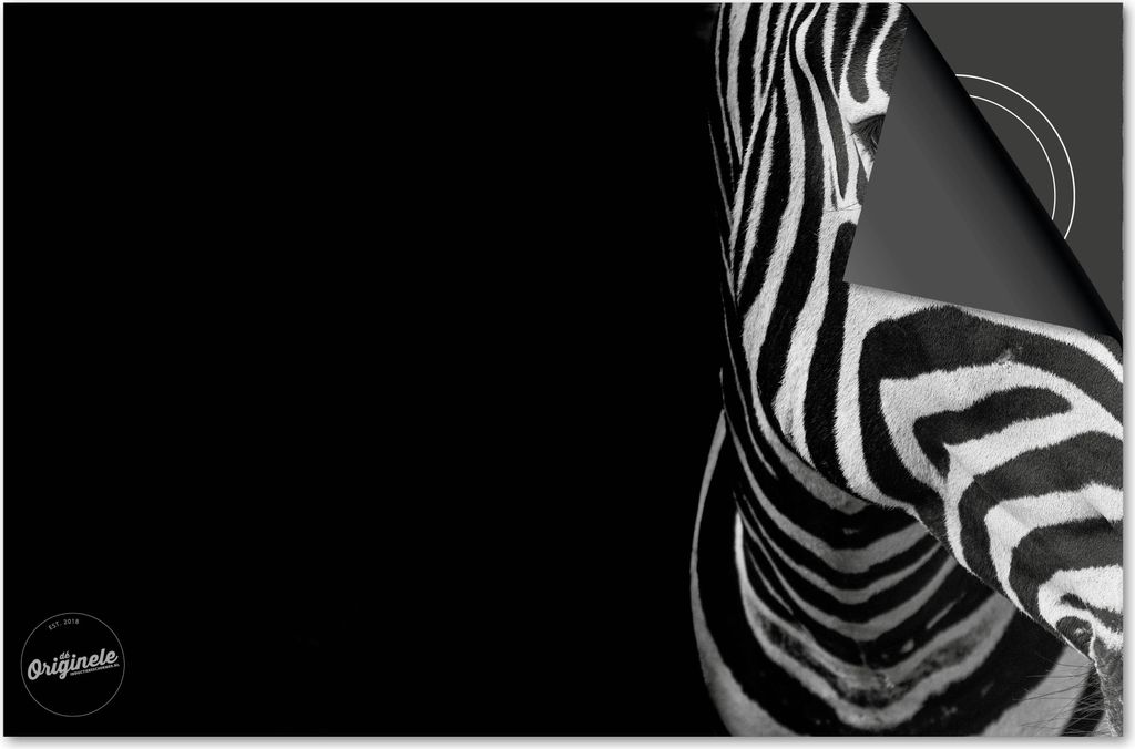 Induktionsschutz 59x52 - abdeckplatte Induktion matt- Dietrix Kochfeldschutz- Exklusive - Tiere - Zebra auf Schwarz