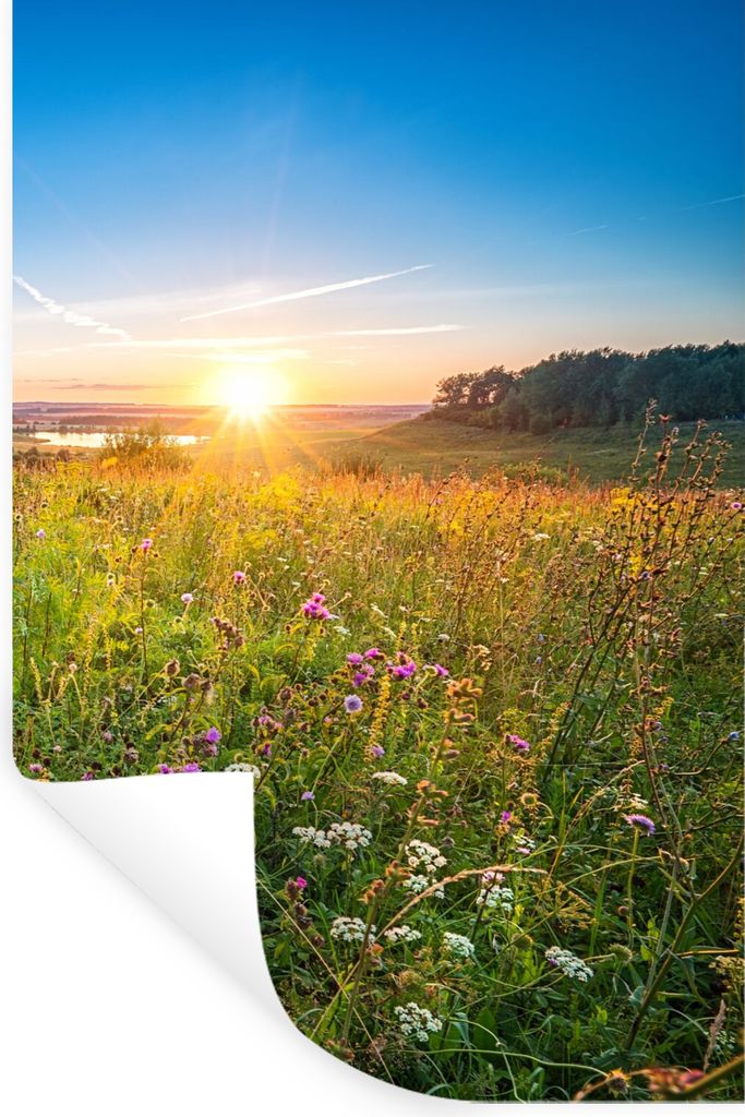 MuchoWow Wandtattoo Wandsticker Wandaufkleber Sonne - Gras - Blumen 80x120 cm Selbstklebend und Repositionierbar - Repositionierbar - Wasser abwe...