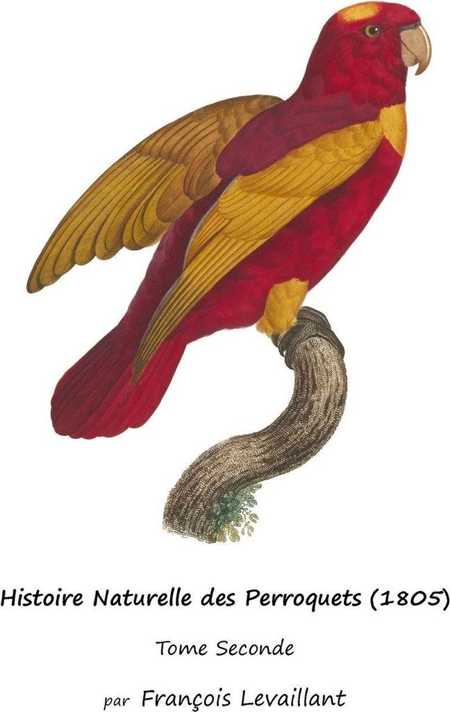 Histoire Naturelle des Perroquets (1805)