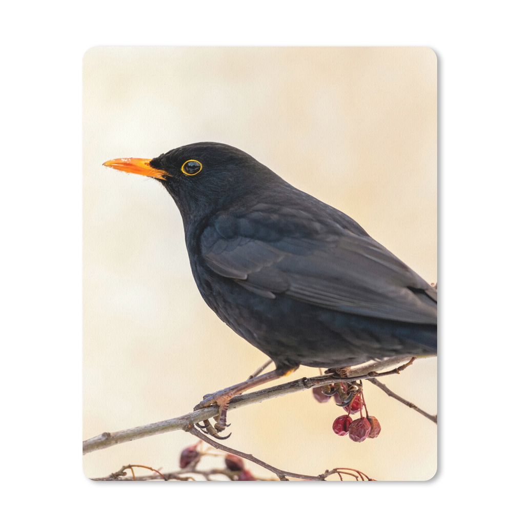 MuchoWow Mauspad Mousepad Amsel - Vogel - Zweige - Beere - Rot 30x40 cm - Mousepads - Maus Mat - Pad - Mausunterlage - Mausmatten