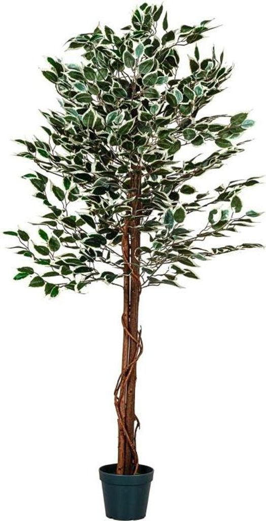 PLANTASIA Sztuczne drzewo figowe, 160 cm Zdjęcie produktu 