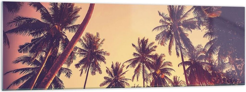 Bilder auf glas - Einteilig - Palmen Himmel Sonne - 160x50cm - Glasbilder - Wandbilder - Bilder - zum Aufhängen bereit - Wanddekoration aus Glas -...