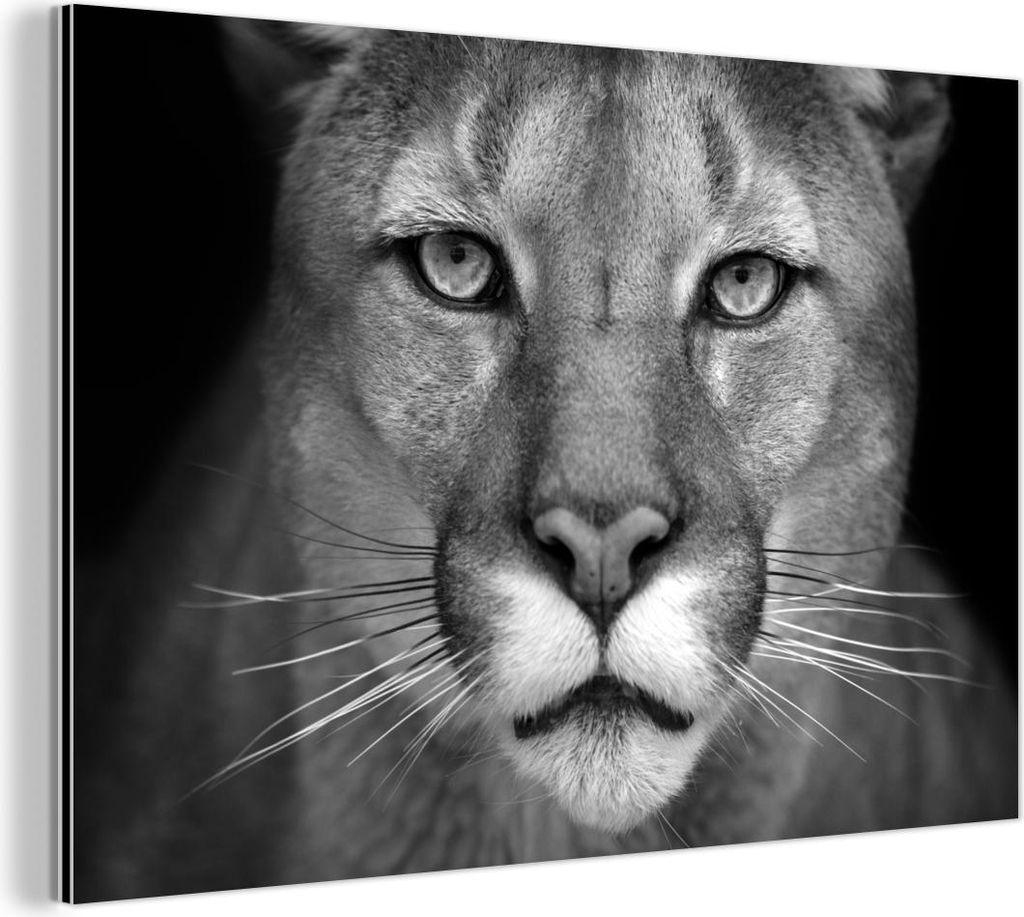 MuchoWow Wanddekoration Metall Metallbild Wandkunst 120x80 cm Panther - Wildlife - Schwarz - Weiß MuchoWow Aluminium Gemälde - Alu Bild