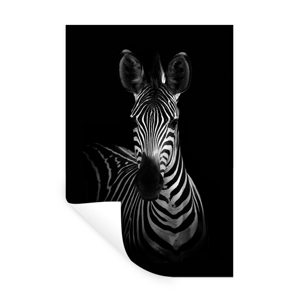 MuchoWow Wandtattoo Wandsticker Wandaufkleber Zebra - Tiere - Safari - Schwarz 80x120 cm Selbstklebend und Repositionierbar - Repositionierbar - ...
