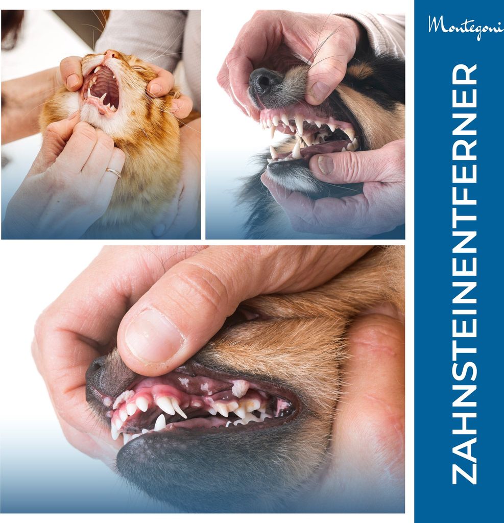 Zahnpflege-Set 4er Set für Zahnreinigung Zahnsteinentferner Produktbild 6