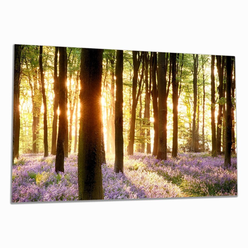 Wallario Herdabdeckplatte aus Glas, Größe 80 x 52 cm 1-teilig, Motiv Blaue Hasenglöckchen im Wald mit Sonnenstrahlen