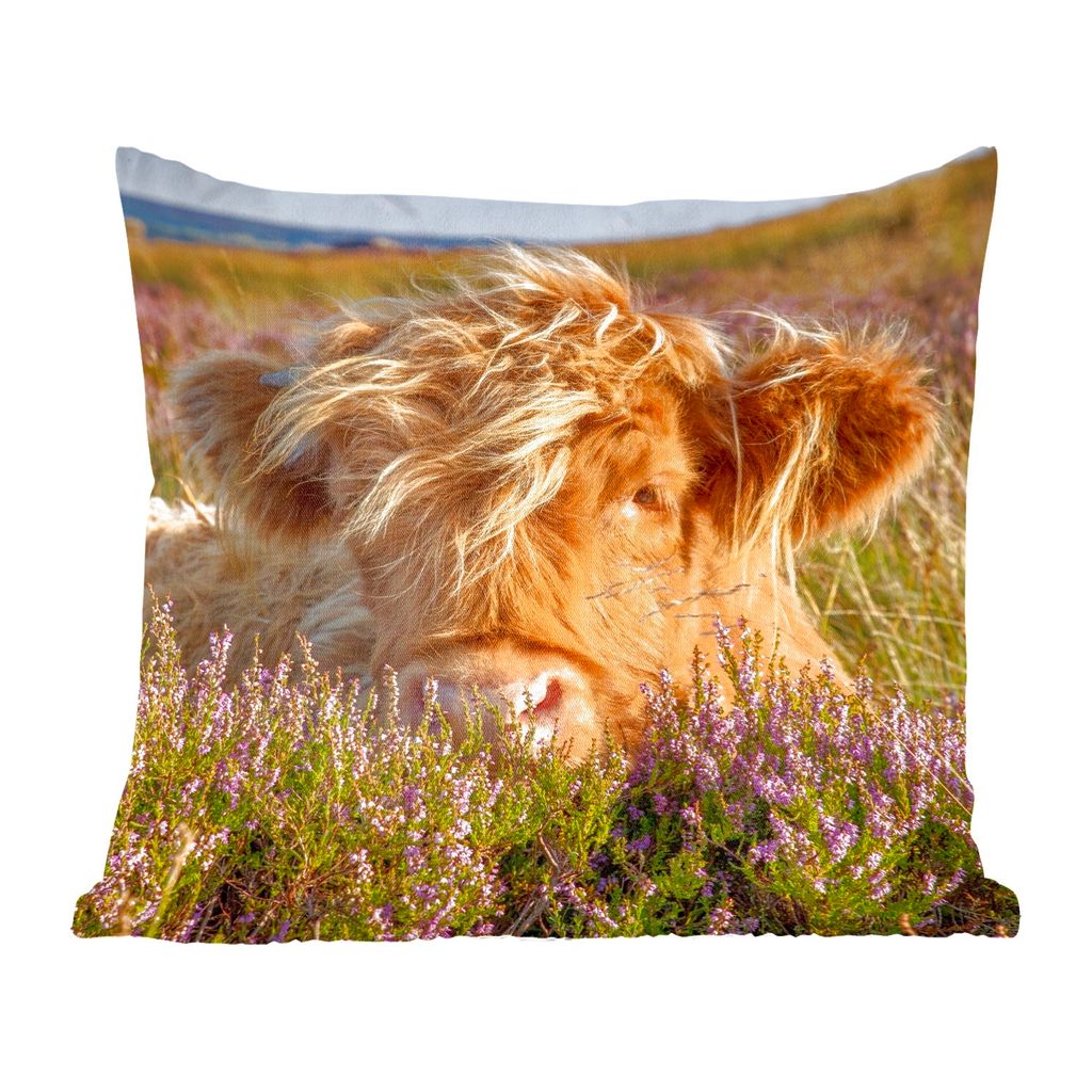 MuchoWow Zierkissen Sofakissen Wohnzimmer Dekokissen 40x40 cm Schottische Hochlandrind - Heide - Gras - Tiere - Foto Kissen - Schlafzimmer Dekora...