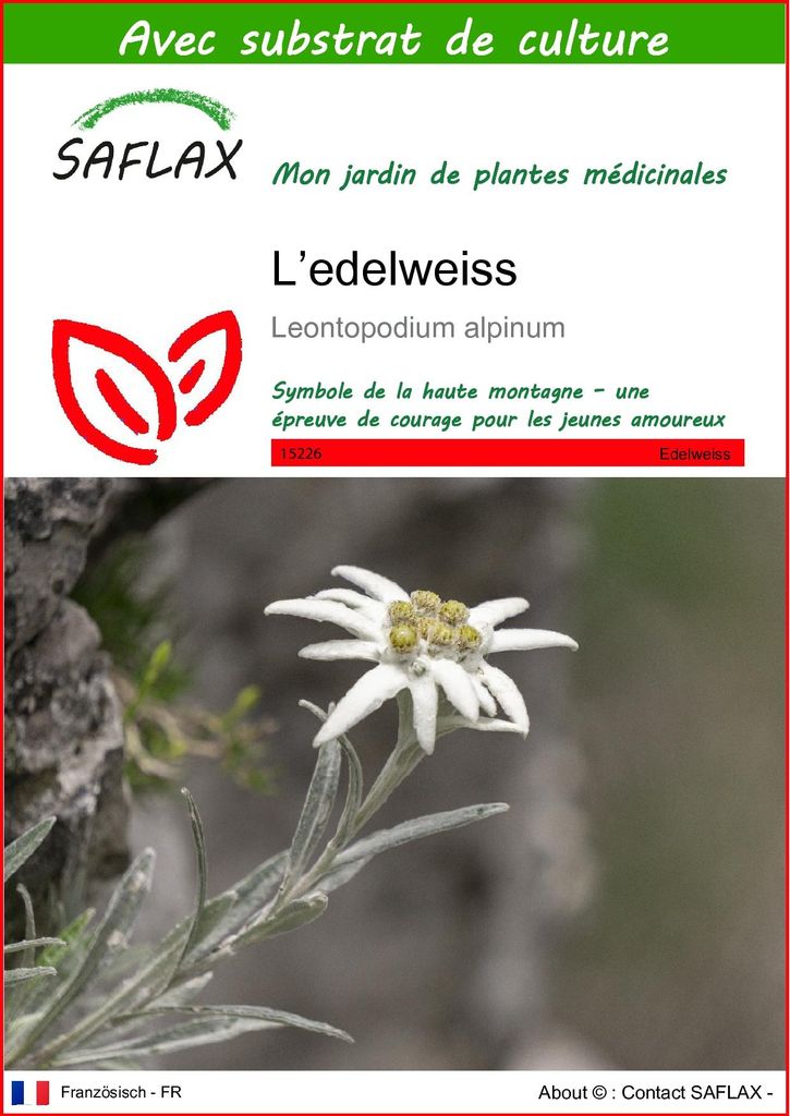 SAFLAX  - L’edelweiss - 500 graines - Avec substrat - Image du produit 