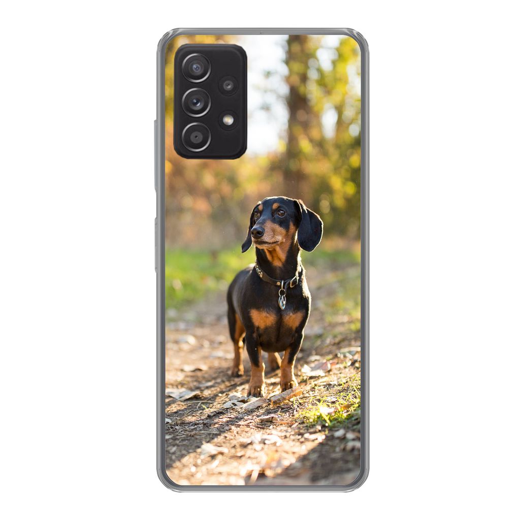 MuchoWow Handyhülle Schutzhülle Hülle für Samsung galaxy a73 Ein schöner Dackel im Wald Silikon Softcase Handy Hülle - Handyhülle