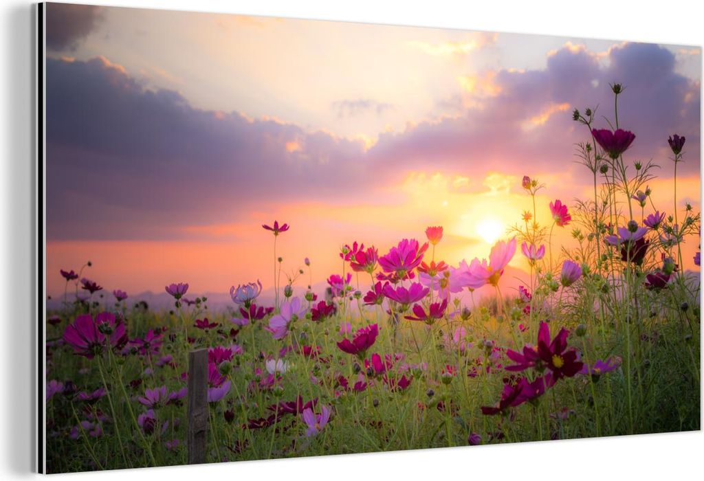 MuchoWow Wanddekoration Metall Metallbild Wandkunst 80x40 cm Blumen - Rosa - Sonnenuntergang - Natur - Wiese - Horizont MuchoWow Aluminium Gemälde...