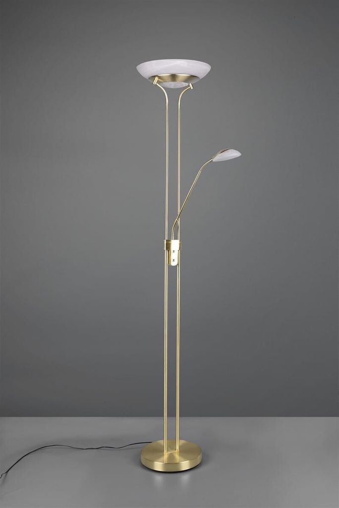 A floor lamp with two lights against a plain gray background.