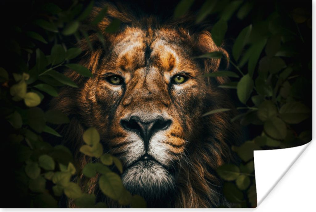 MuchoWow Poster Dschungel - Löwe - Tiere - Blätter 90x60 cm - Schlafzimmer
