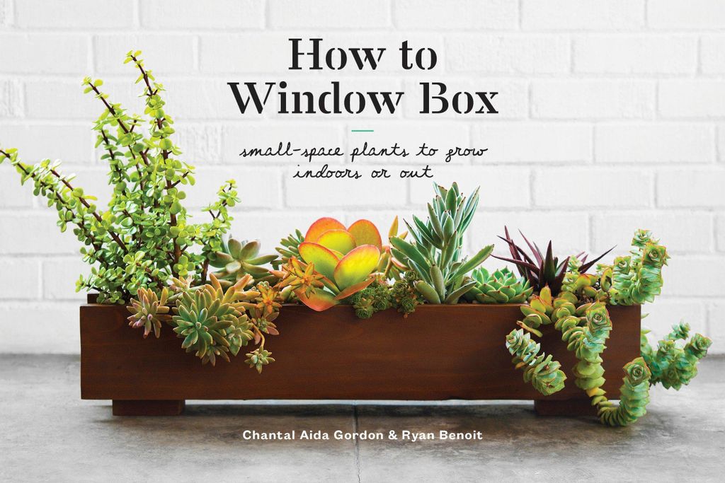ISBN How to Window Box, Hardcover, 176 Seiten