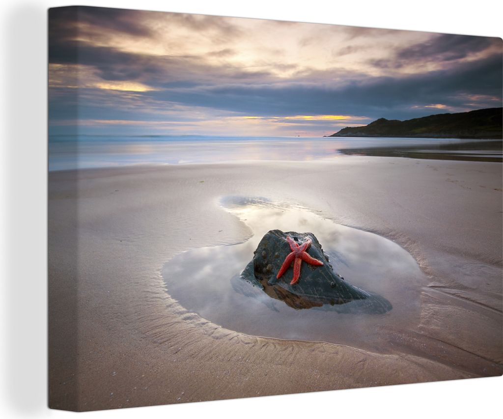 OneMillionCanvasses - Leinwandbilder - 140x90 cm, Seestern - Strand - Sonne, Wandbilder Kunstdruck Wanddekoration - Foto auf Leinwand - Gemälde ...