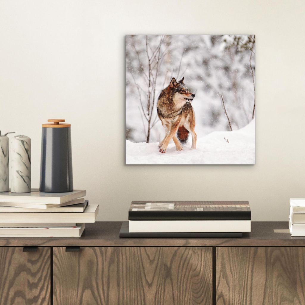 MuchoWow Wanddekoration Metall Metallbild Wandkunst 20x20 cm Wolf - Winter - Schnee - Natur - Tiere MuchoWow Aluminium Gemälde - Alu Dibond Bilder