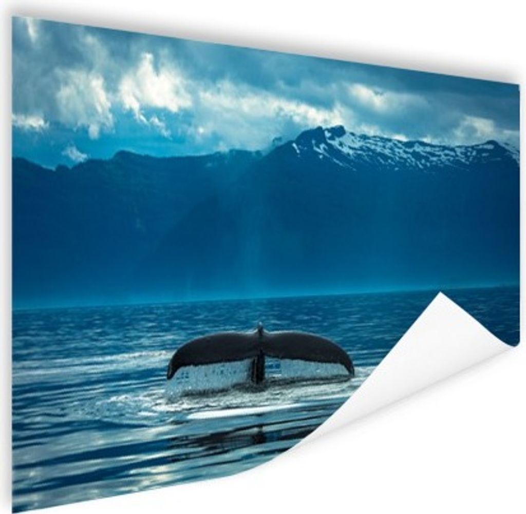 MuchoWow Poster Schwanz eines großen Buckelwals 60x40 cm - Schlafzimmerdekoration