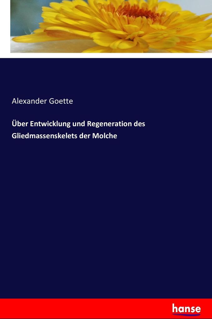 Über Entwicklung und Regeneration des Gliedmassenskelets der Molche