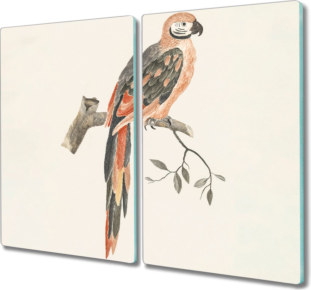 Coloray Hackbrett Kochplattenabdeckung Herdabdeckplatte 2x30x52 cm Schneidebrett Küchenbrett - Tier Vogel Zweig