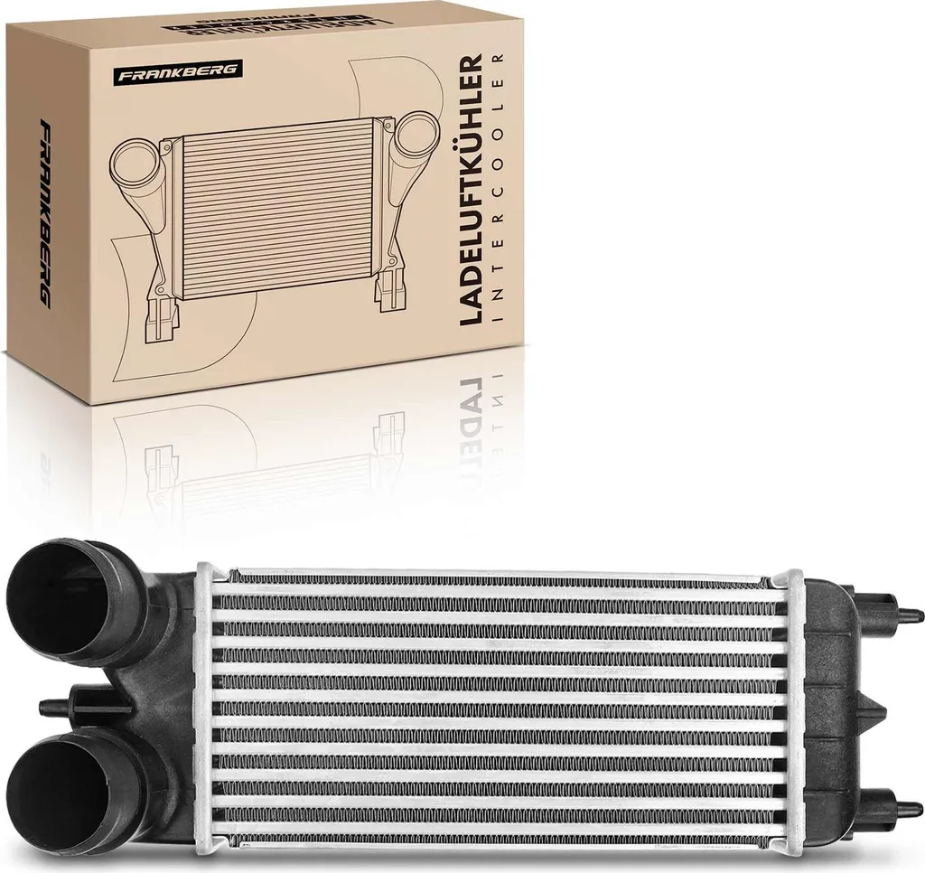 Refroidisseur Intercooler pour Citroën C5 III et Peugeot 508 (2009+)