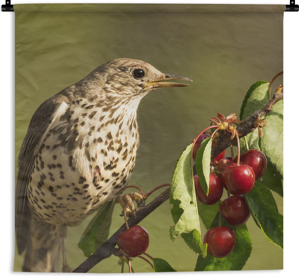 MuchoWow® Wandteppich Wandbehang Vogel auf einem Ast Produktbild 